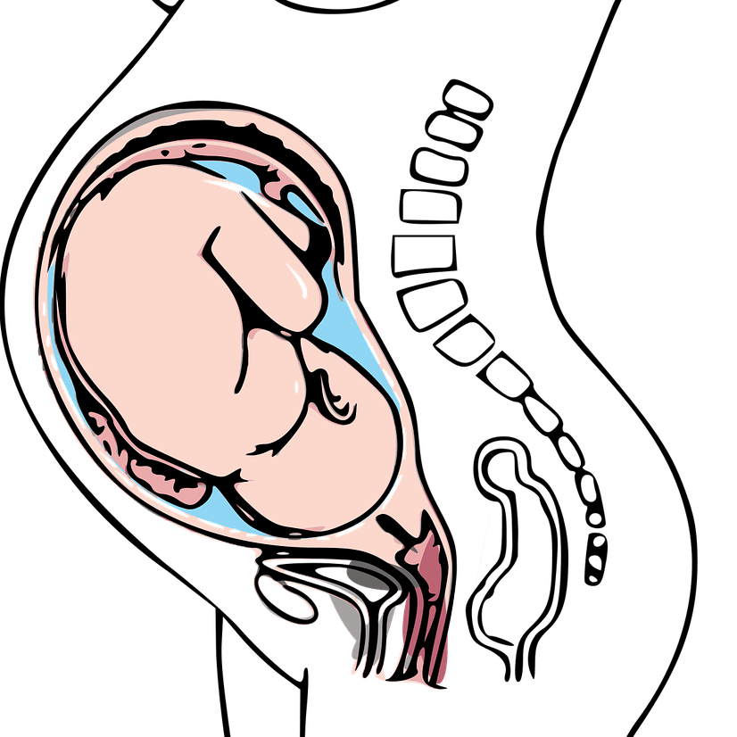 Pregnant_Reproductive_Health__square-min