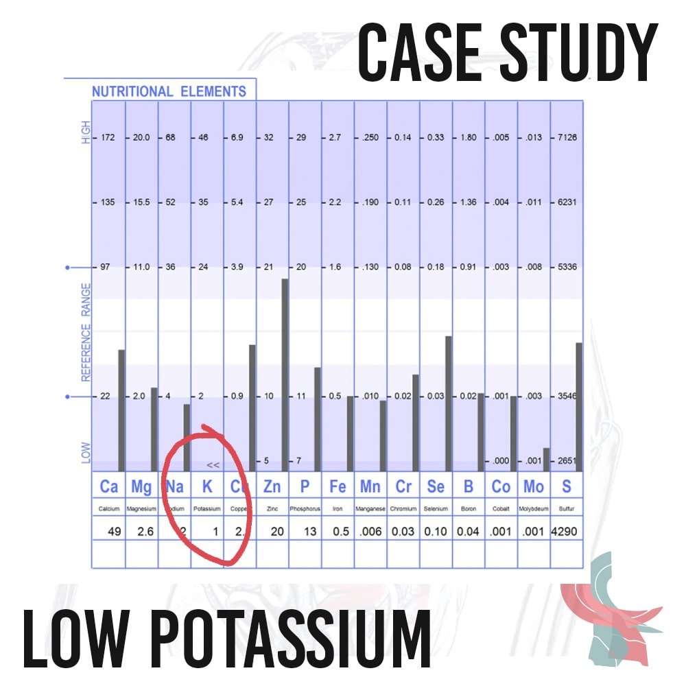 Low Potassium