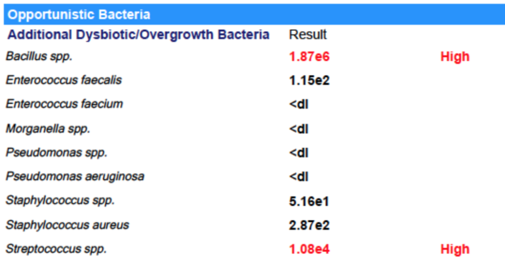 Nicki GI Map Opportunistic Bacteria