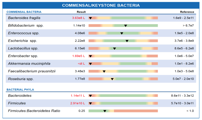 Microbiome_Commensal_Bacteria_GI_Map