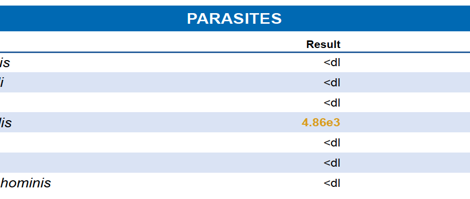 Dientamoeba fragilis Parasite