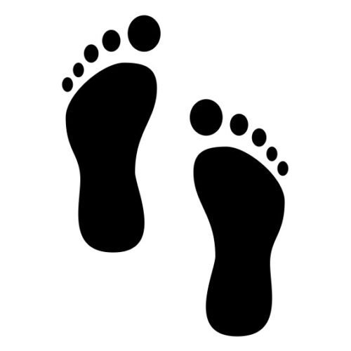 Movement, Functional Health Modalities