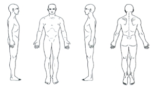Functional Posture Assessment